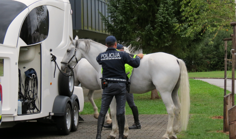 policist s konjem